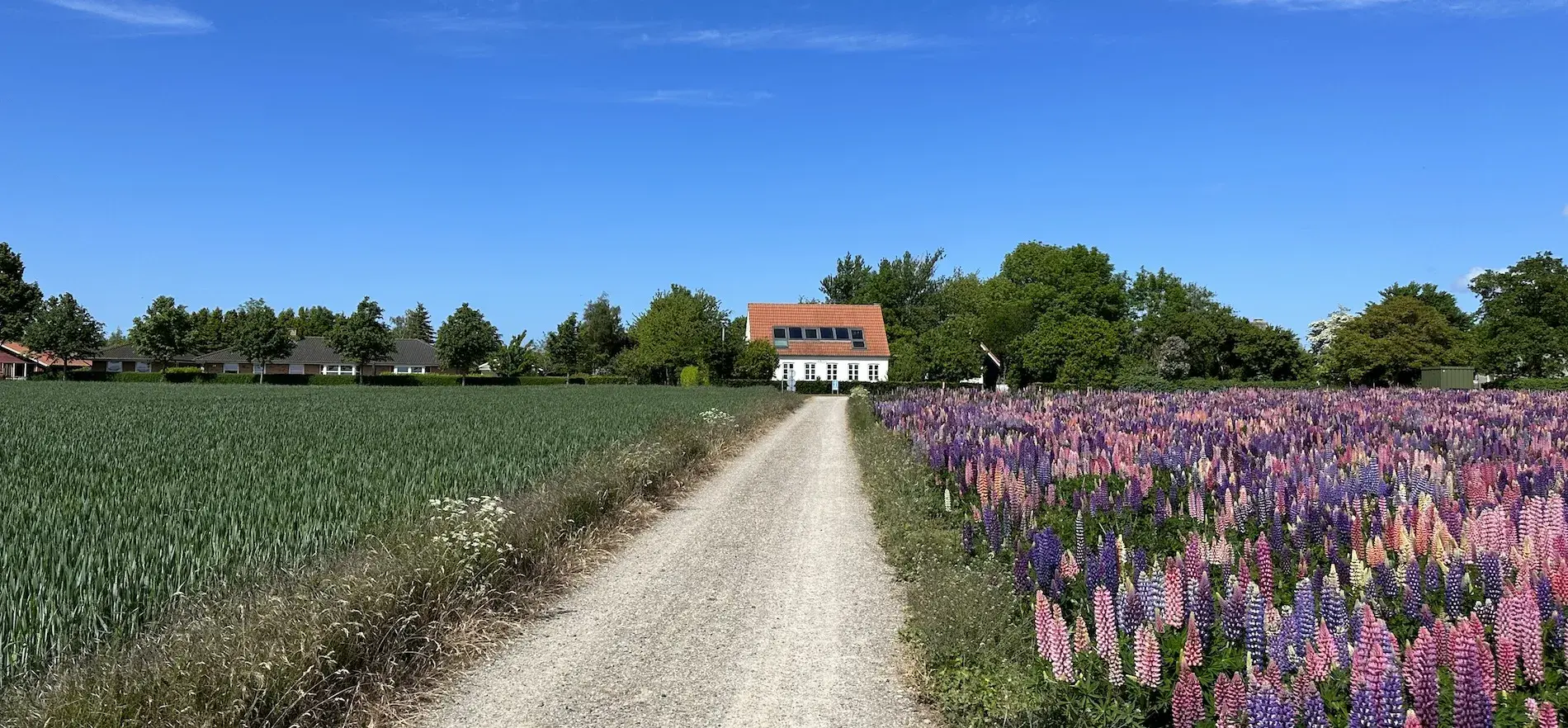 Langø Feriecenter